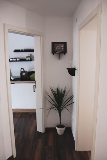 Schoene Wohnung Top Lage Koeln Work & Relax & Travel Frechen Buitenkant foto